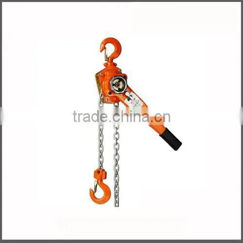 Building Block Manual Hoist Vital Chain pulley blocks
