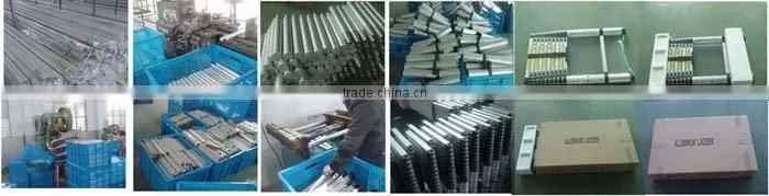 3.8m EXTENDABLE TELESCOPIC LADDER with finger safety feature
