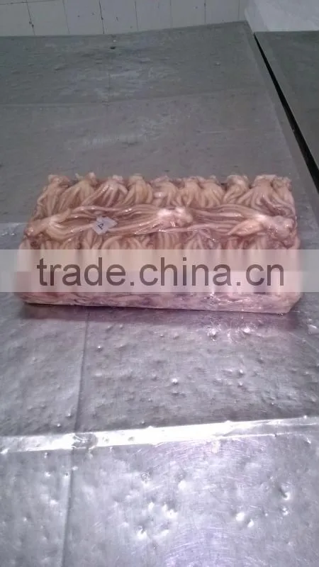 frozen seafood squid tentacle