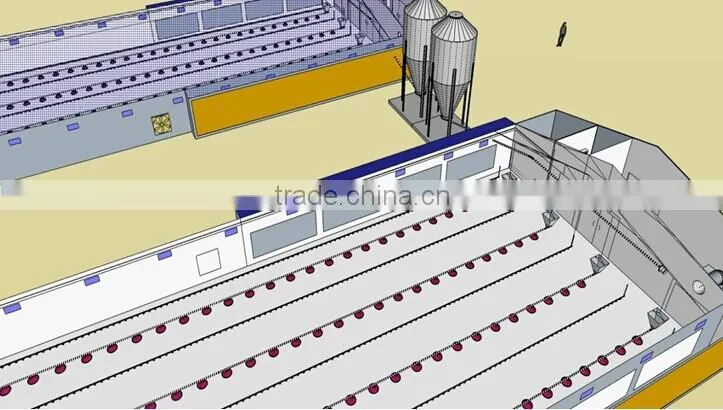 poultry farm ground raising chicken broiler equipment