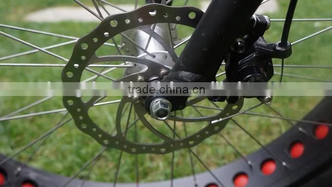 2015 power 25mph fat tire e-bike 750W ( HJ-M21 with mid motor )