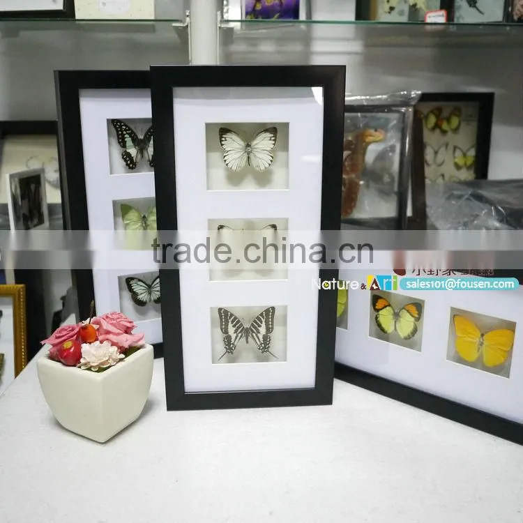 FOUSEN(023) Nature& Art framed natual real dried butterfly art set