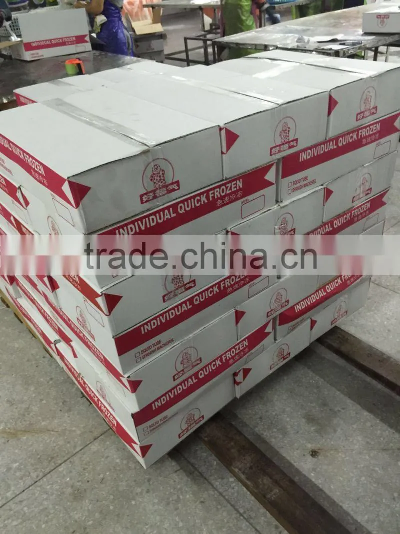 Bulk Packing Good Quality Spanish Mackerel Frozen On Board
