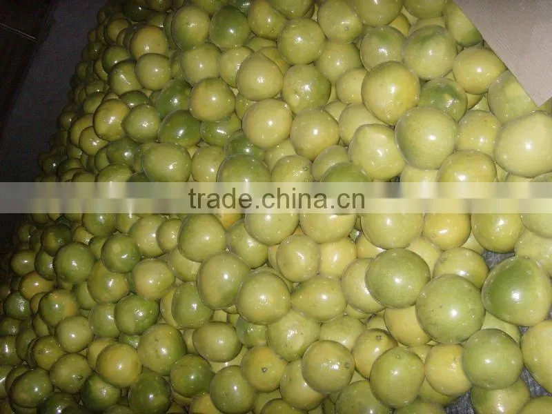 Low Price Chinese pomelo