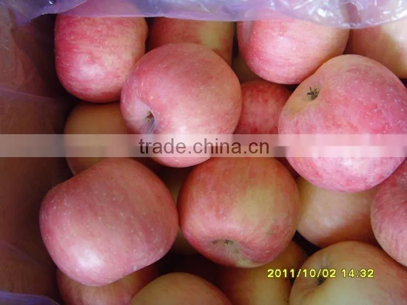 2012 delicious fuji apple