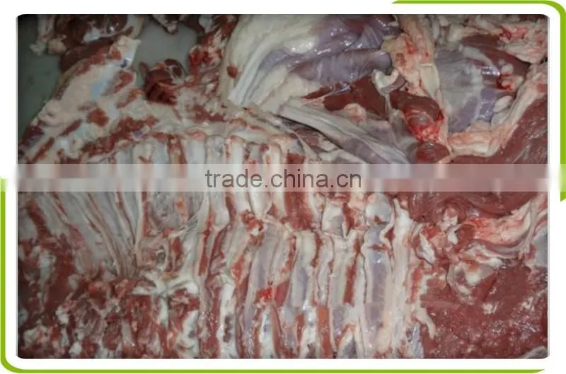 frozen lamb/goat/mutton rack frenched