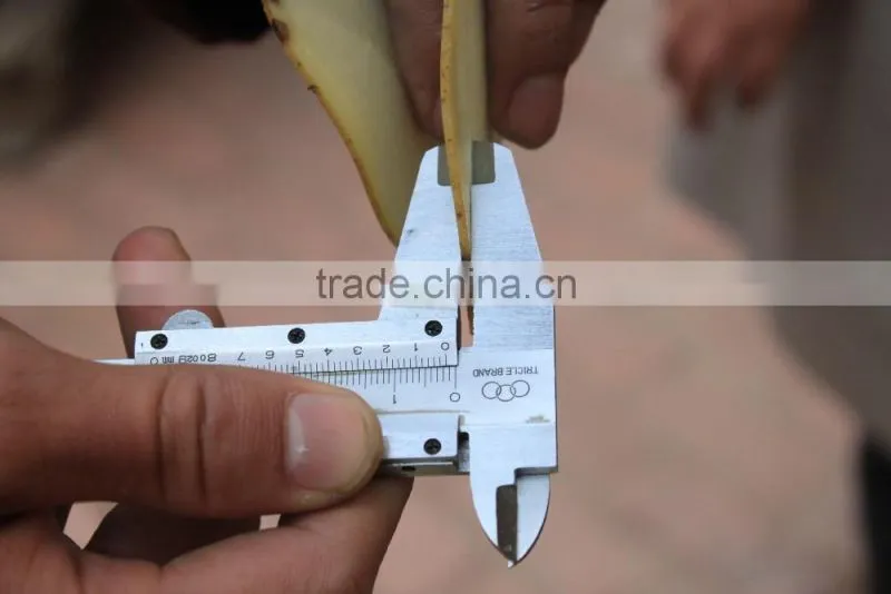 FC-336 Multipurpose Vegetable Slicer and Shredder Cutting Machine