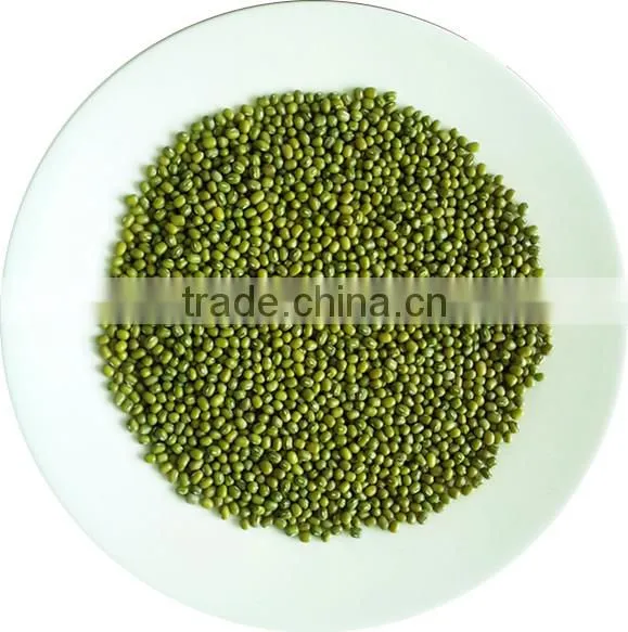 JSX free sample yellow mung bean price current year high quality mung bean sprout production