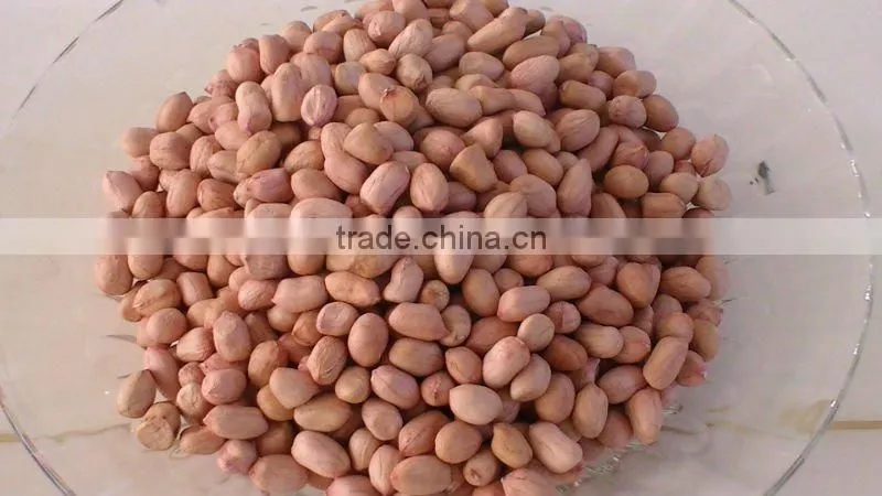 shandong groundnut blanched peanuts