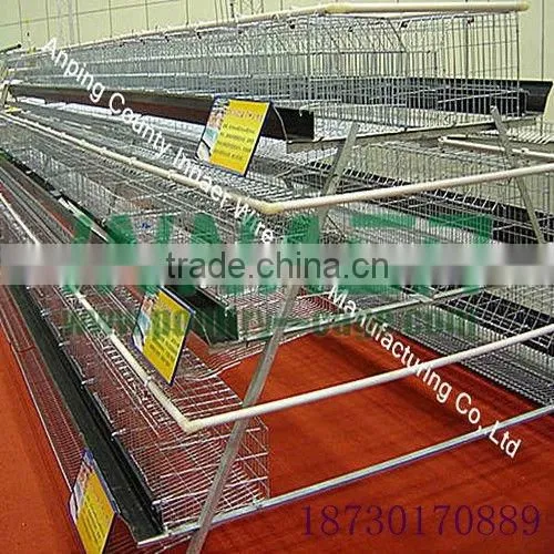Supply Hot Sale Cheap Innaer Cock Cage for Broiler