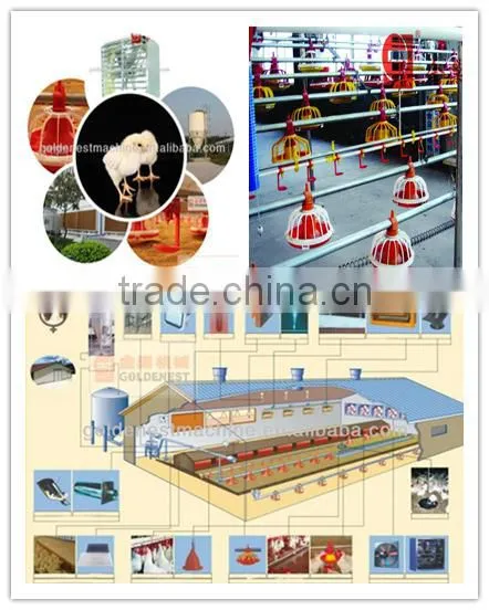 poultry automatic feeding and drinking system