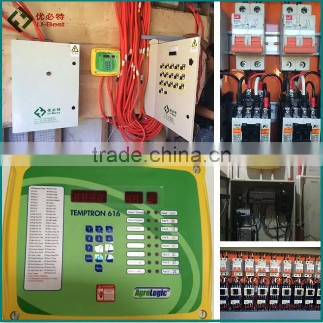 Automatic broiler chicken farming equipment