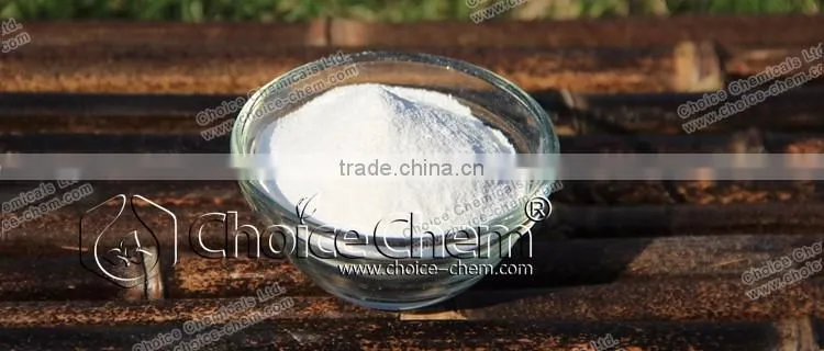 High purity food grade L Proline suppliers
