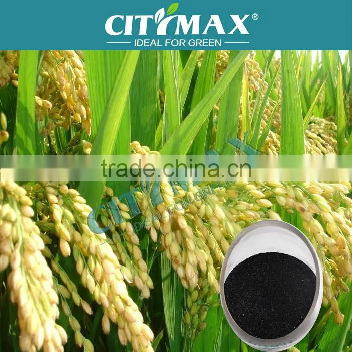 Leonardite Humic Acid Organic