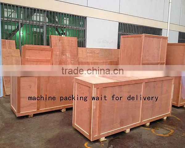 Plastic Recycle Grinder PET Bottle Crusher