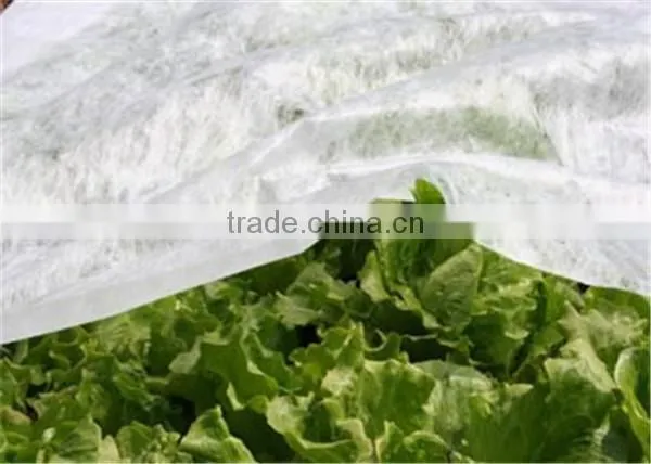 Green Agricultural PP Plastic Spunbond Non-woven Fabric Ground Cover
