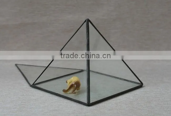 Pyramid shaped glass terrarium for indoor plant holder