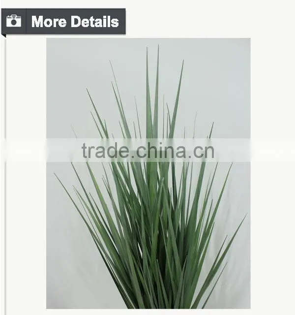 Home decoration species potted grass wide blade grass artificial onion grass for appeciation