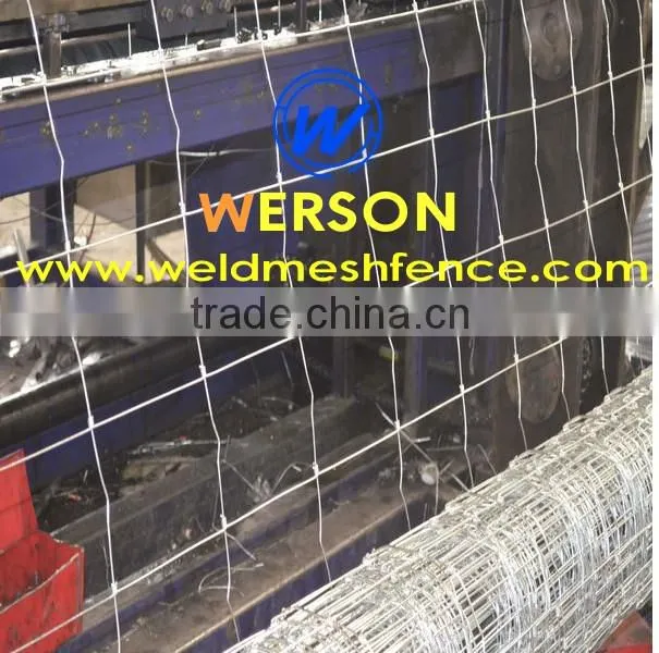 hot dipped galvanized Hinge Joint Fencing Wire| werson fence