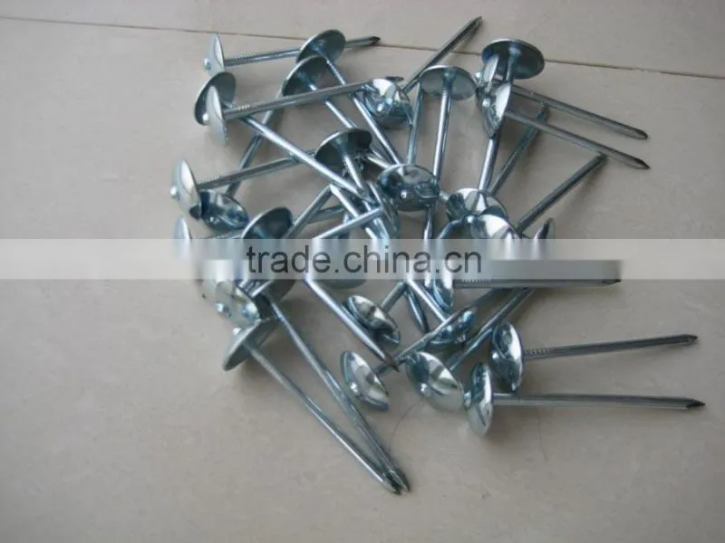 roofing nail with umbrella head