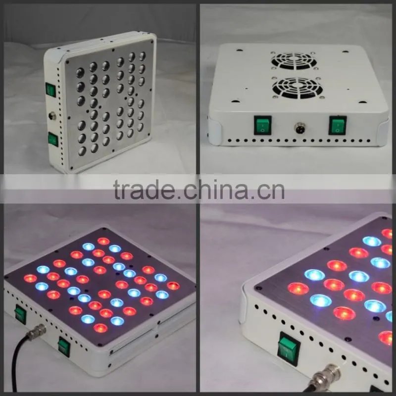 High Power 200W LED Grow Light 3 years warranty for medical plants
