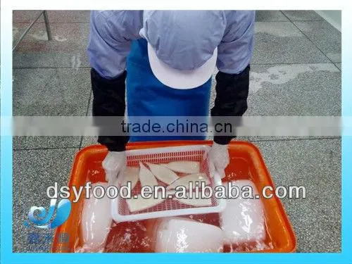 frozen fresh-looking squid ring