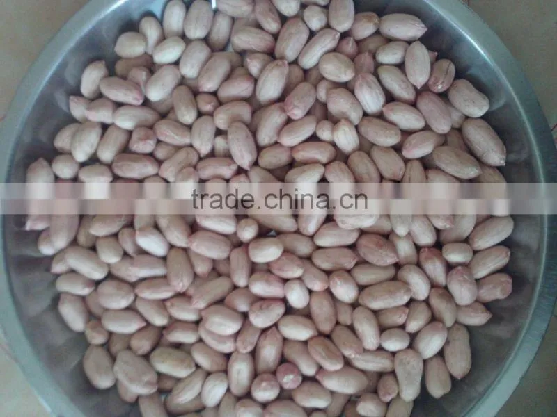 2014 new Raw LuHUA Peanuts24/28 from sandong