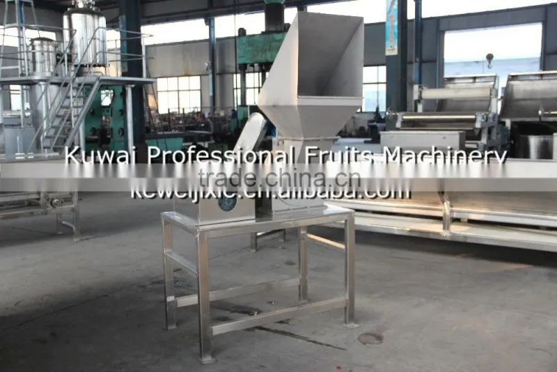 5 ton CPS-5 Model squirrel cage type garllic crushing machine(Industrial fruit crusher)