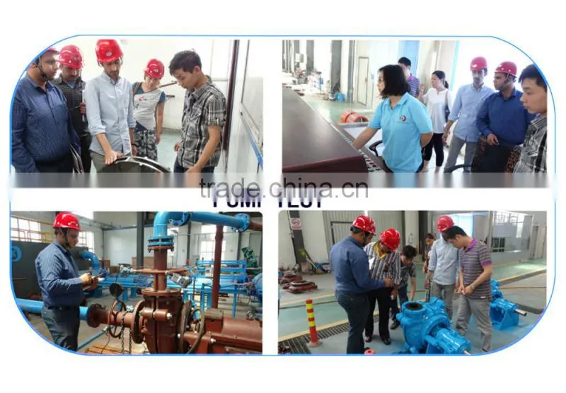 Chemical transfer pump manufacturer
