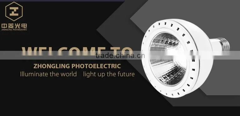 PAR 30 plat light 18x1w led par light