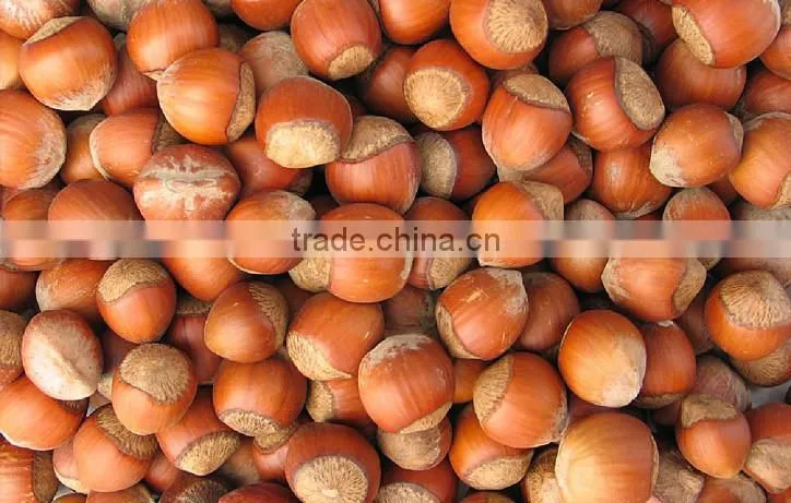 100% organic and natural Hazelnuts