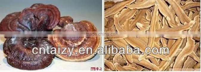 stainless steel ginseng slicer with best quality 008613673685830