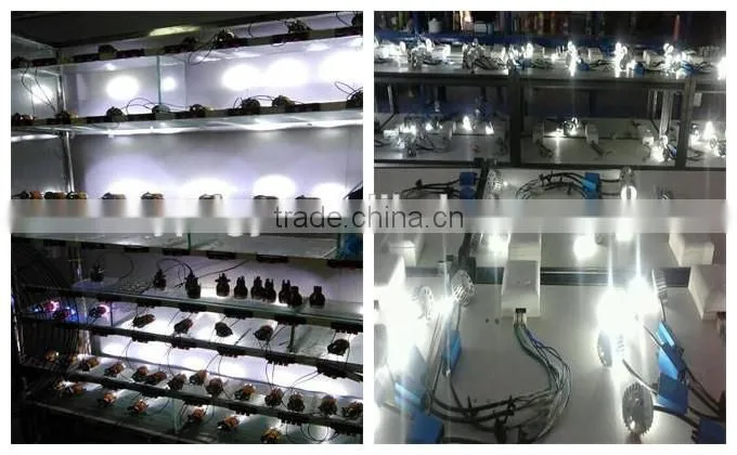 Golden luxcury h4 led hot sale liht h7 led light headlight h7 led car headlight