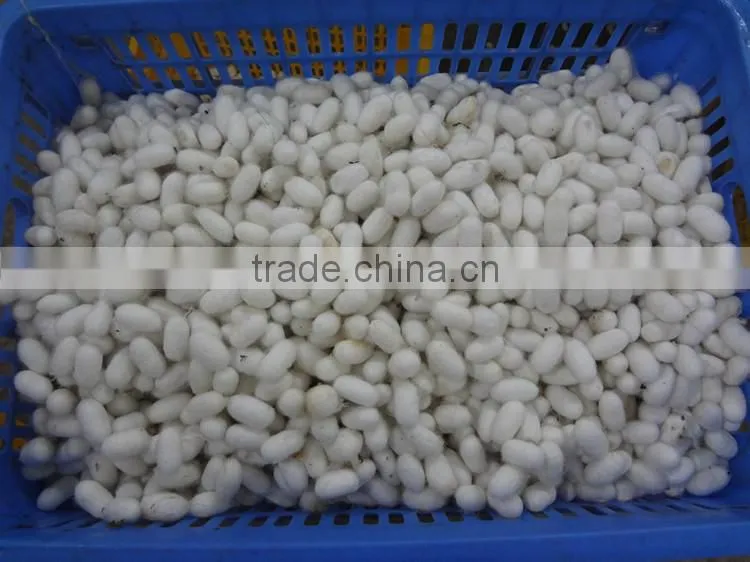 mulberry raw silk yarn knitting