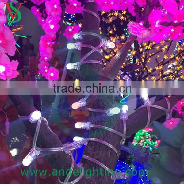 clip light, holiday lighting, decoration clip string light