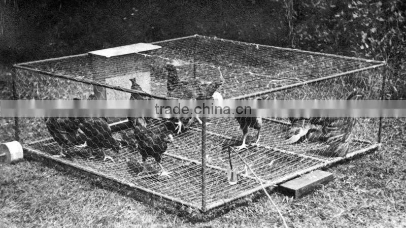 galvanized pvc coated bird/chicken cage wire mesh/netting with high quality low price