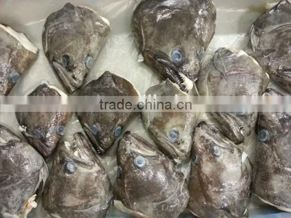 frozen greenland halibut head for sale