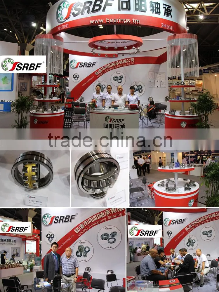 China supplier cylindrical roller bearings NU220