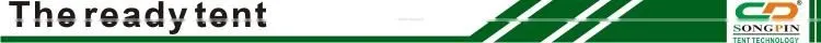 5x10m outdoor transparent pvc wall exhibition tent with pvc window for commercial activity