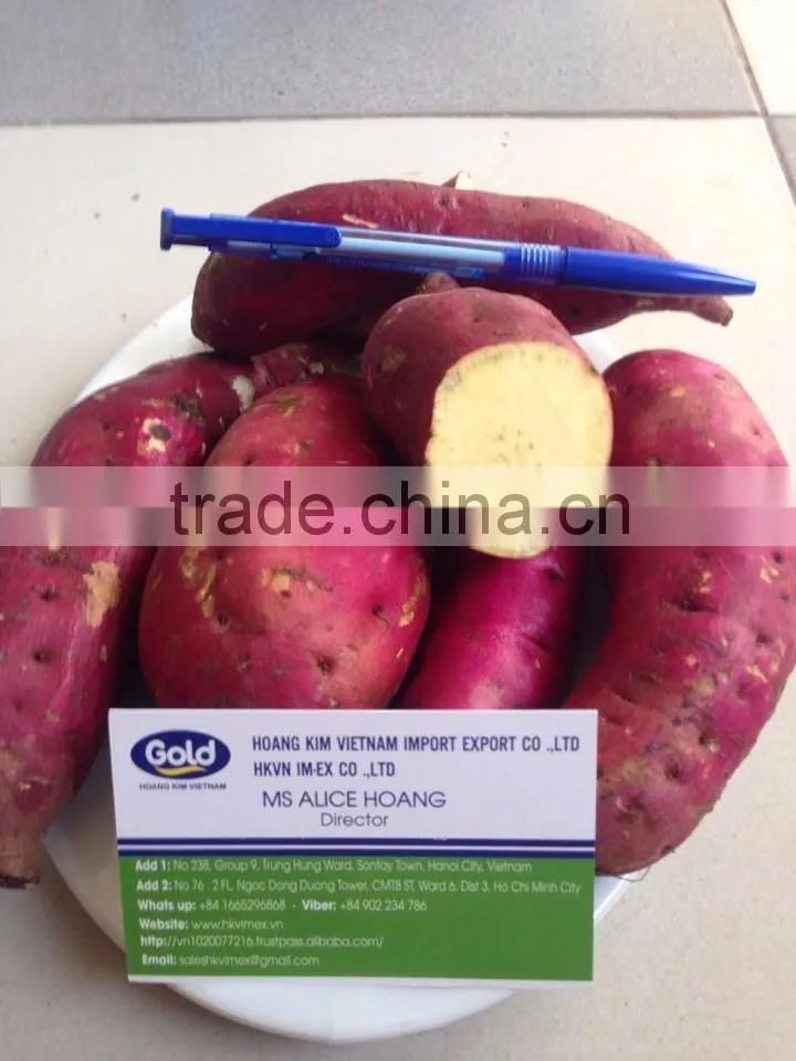 Viet Nam Sweet Potato