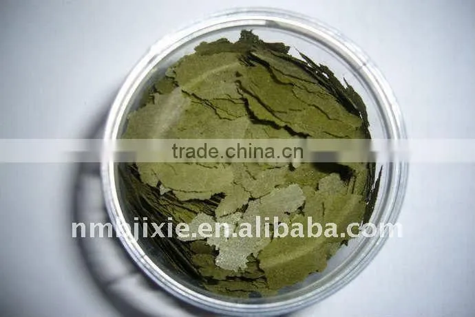 Novel Style Automatic marine animals feed machinery for marine aquarium