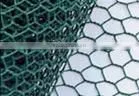 hexgonal wire mesh also named chicken mesh