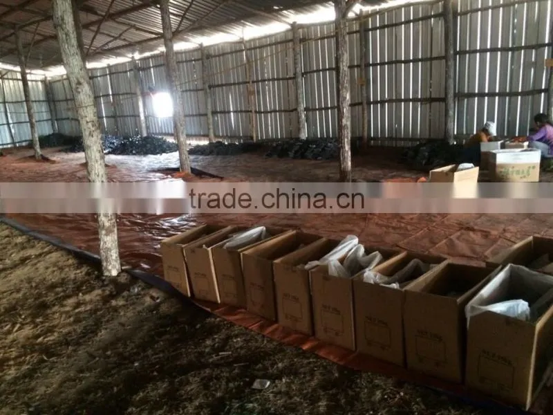 White Charcoal hight quatily in Viet Nam