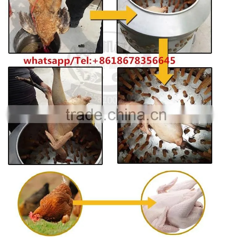 Poultry equipments poultry plucker machine MJ-80 chicken plucker