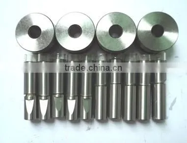 Fruit Effervescent Tablet Press With Punch Mould