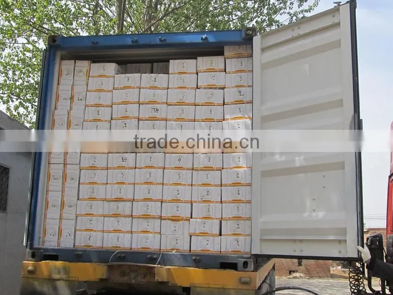Popular galvanized malleable iron pipe fittings tee with best price