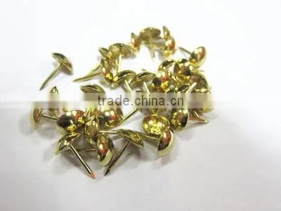 Profassional Decorative nail for furniture