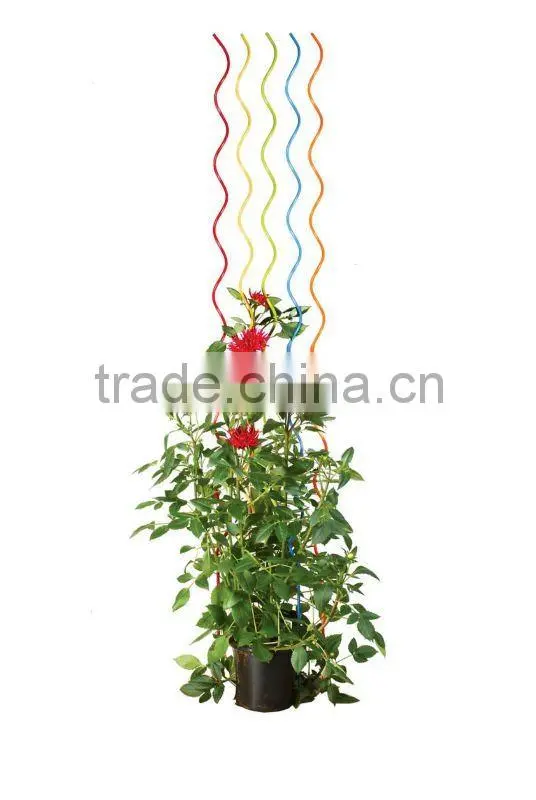 Tomato Spiral Plant Support