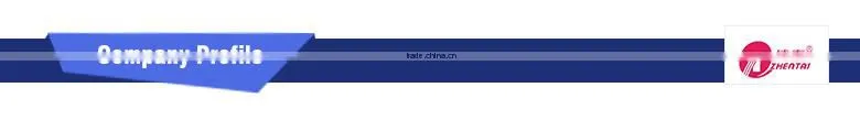 Household Hair Dryer Resistance Blow Dryers DC Motor Hairdriers ZT-3357