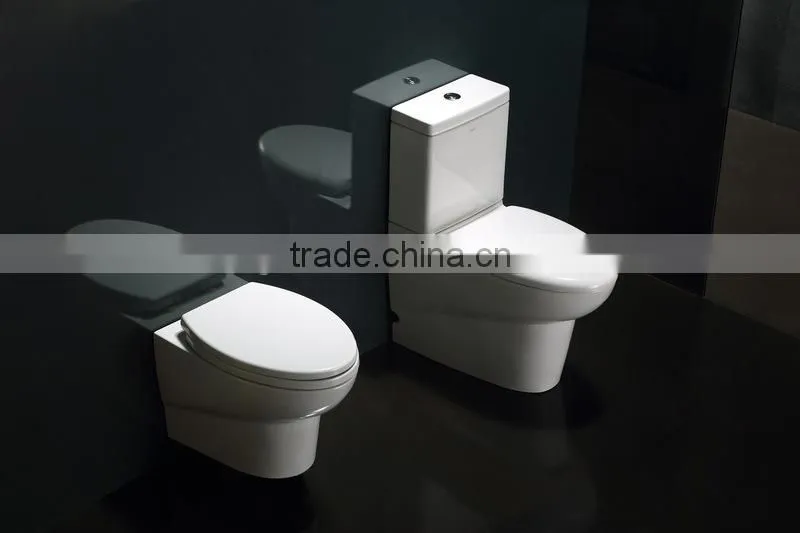 EAGO Ceramic Separate washdown water closet WA379